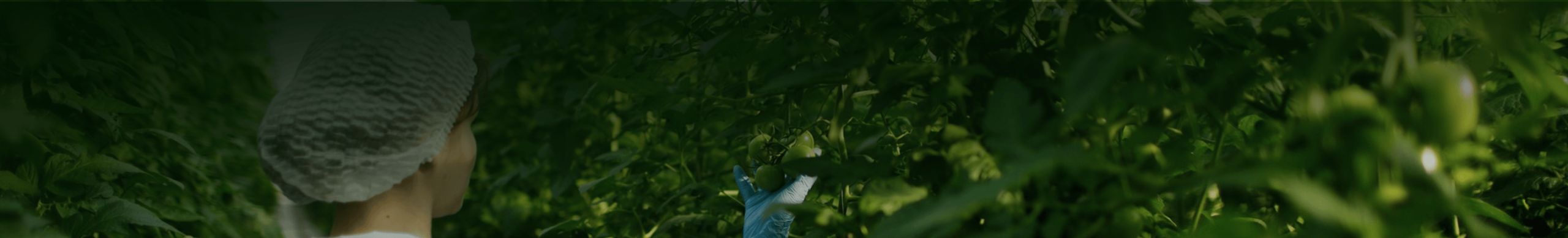 crops-banner